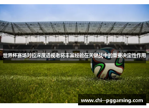 世界杯赛场对位深度透视老将丰富经验在关键战中的重要决定性作用